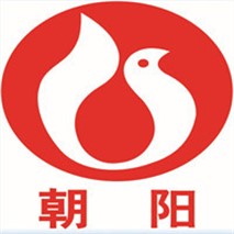 朝陽(yáng)泵業(yè)QW無(wú)堵塞式高效潛水排污泵